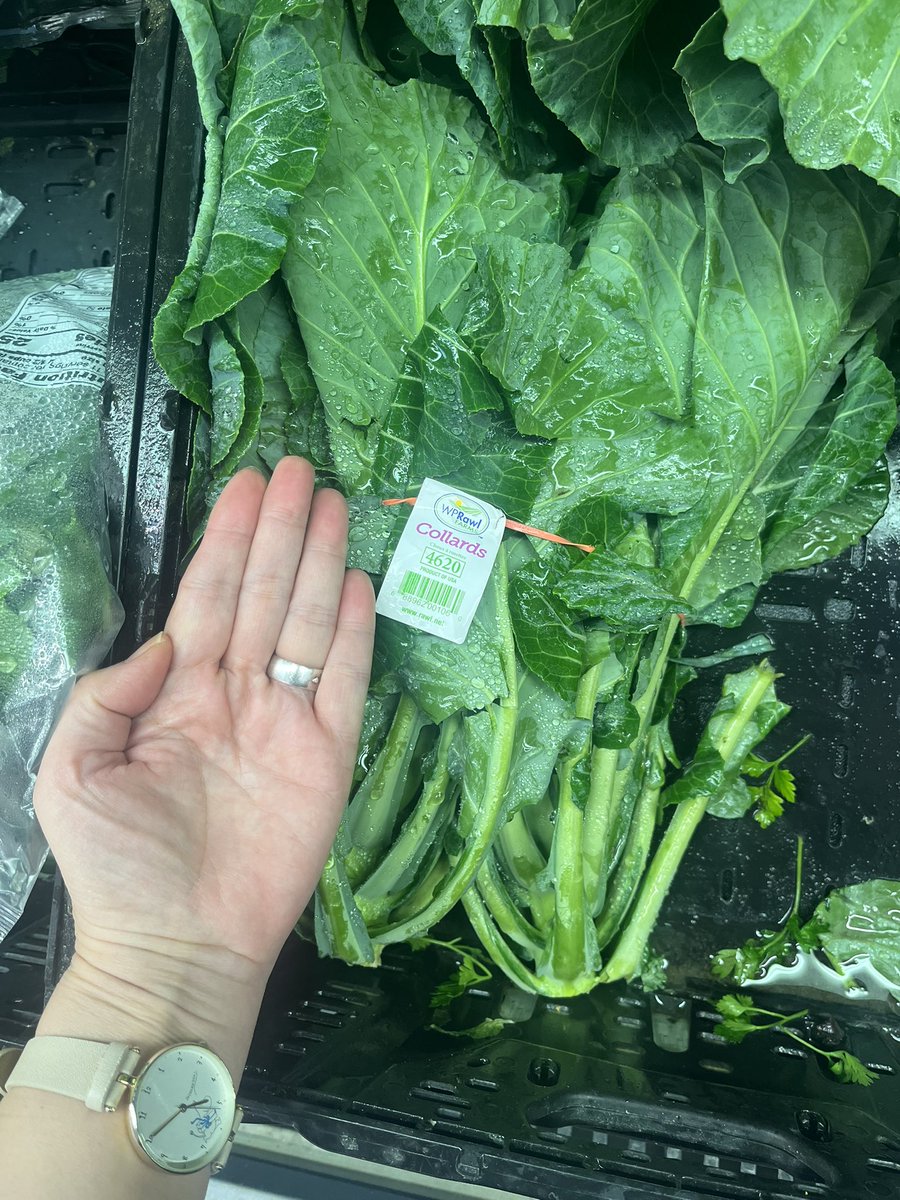 Moomin3371's tweet photo. カラードグリーンという野菜🥬
この大きさでこの値段はお得🉐だと思います
南部料理ではこれをベーコン🥓やニンニン等と一緒にくたくたになるまで煮込み、最後に酢を加えるのが定番
葉は硬めで歯応えがあり。私は葉っぱの部分も茎も細かく刻んで、スープ🥣に入れます
#アメリカ生活
#collard https://t.co/SSDl3wkFFo