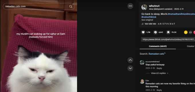 Spork Dev tweet media