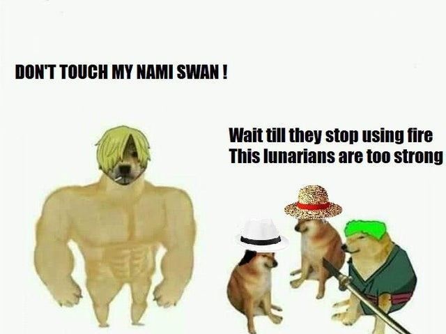 One Piece Daily tweet media