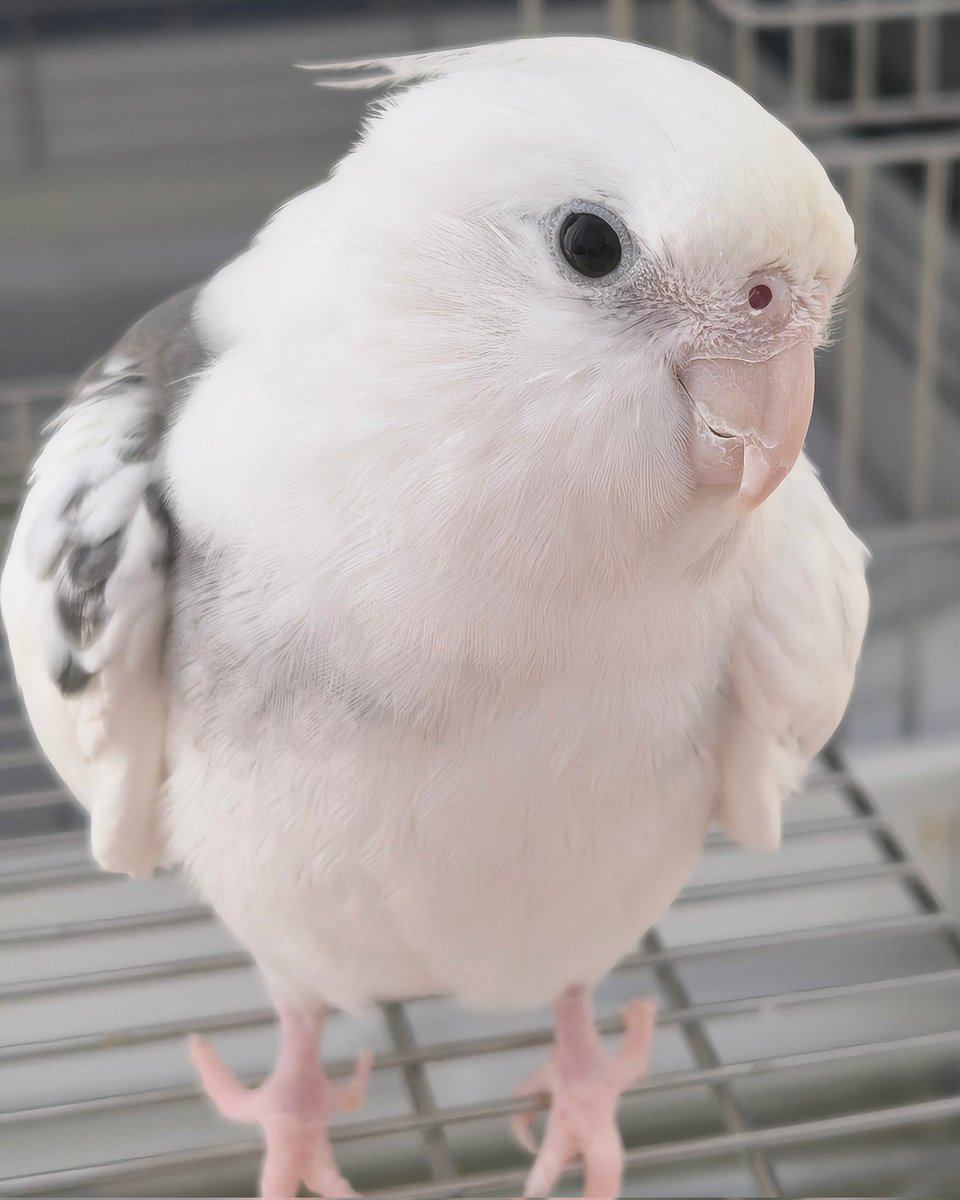 おはようございます😊木曜日✨快晴☀今朝も寒い朝です🥶週末まで後２日お身体を大事に今日も頑張って下さいねo(^-^)🌼今日も宜しくお願いします🤗🌸🍀❤️