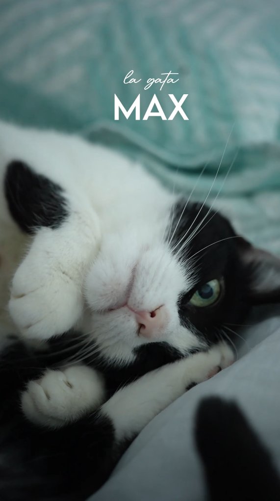 estoy editando un vídeo tan lindo 🥲