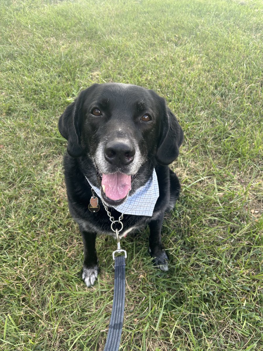 Kate Brummel tweet media