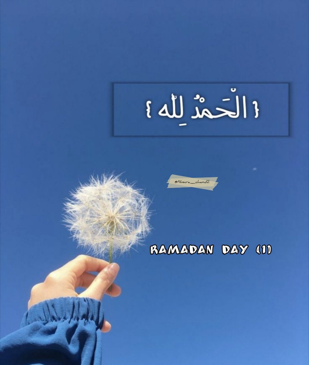 Reza Reza Zabt tweet media