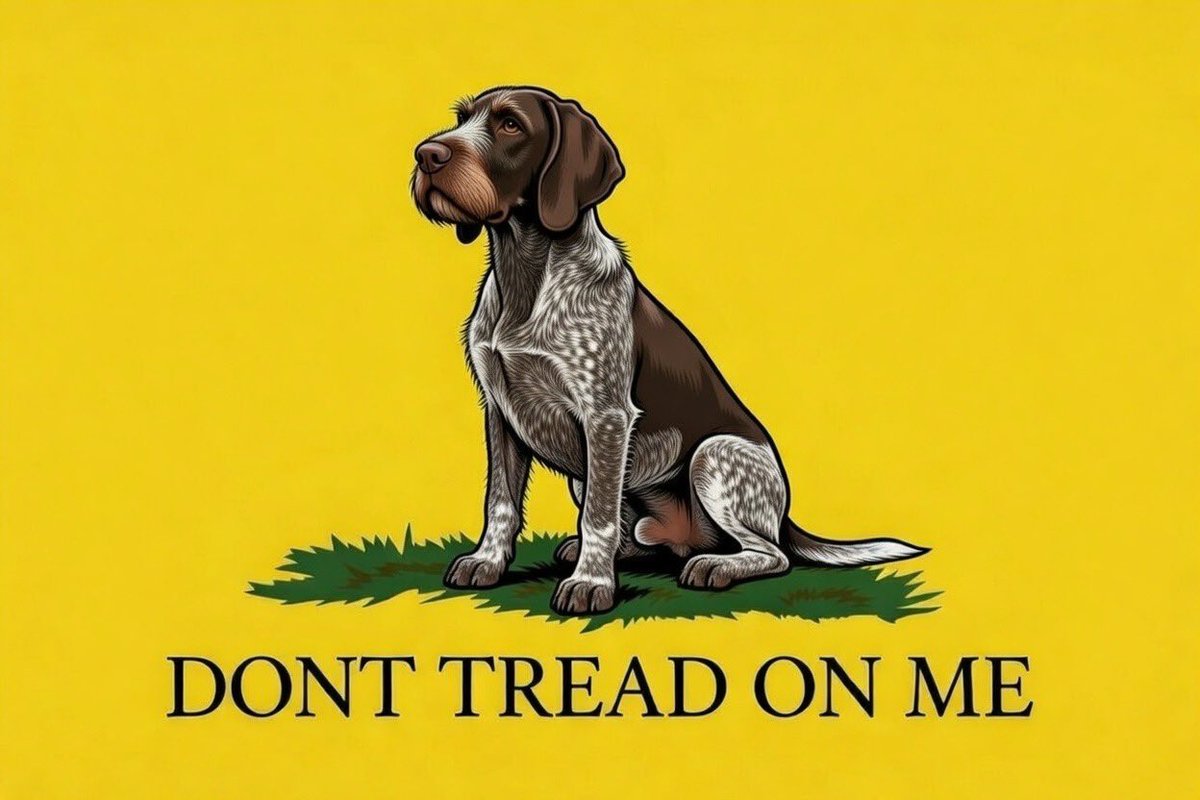 iamtraciwithani's tweet photo. #germanwirehairedpointer #gwp #deutschdrathaar edition. https://t.co/nOezlVNYlr