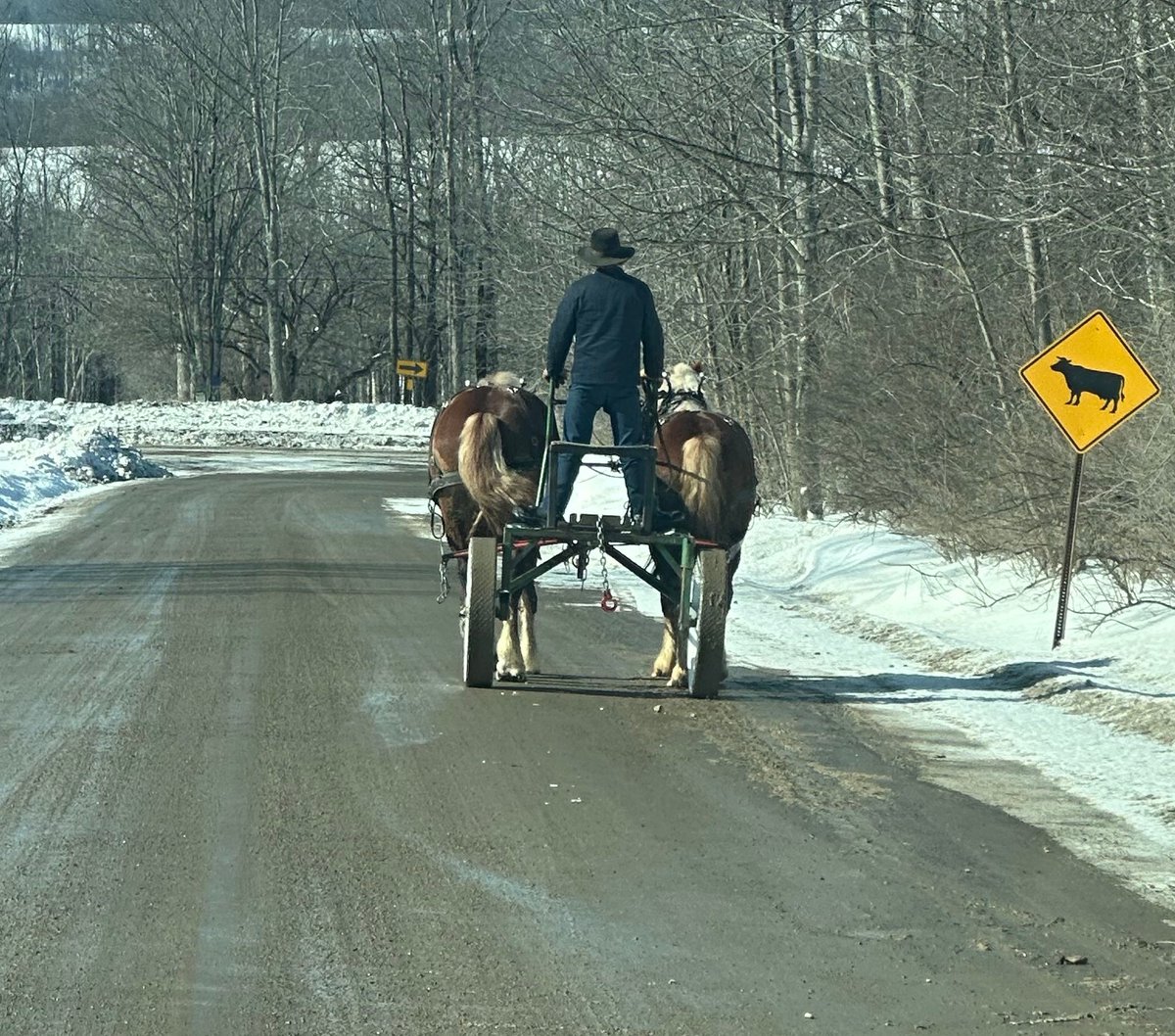 SolitudeFarmz's tweet photo. Traffic on the way to Solitude Farmz. https://t.co/JlkShMUjth