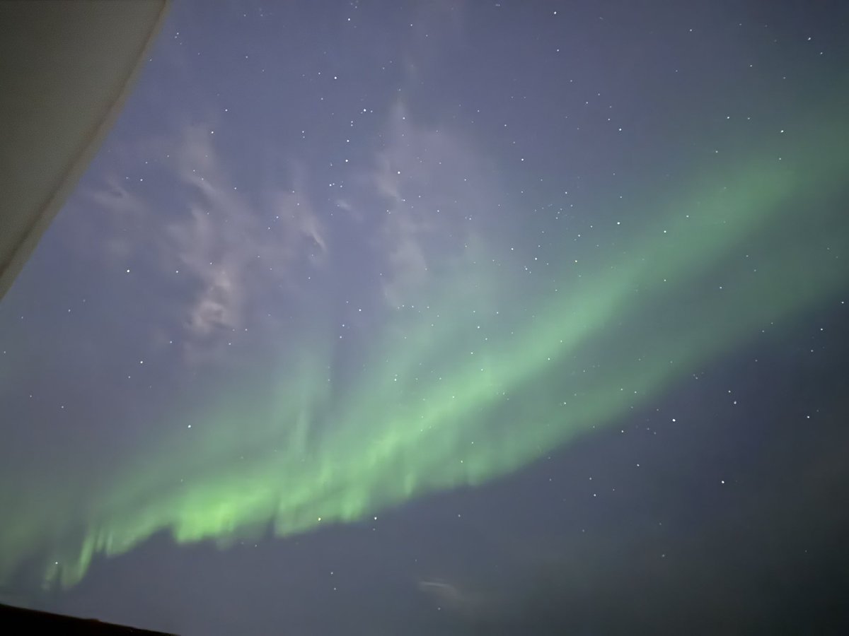 Sacksonville Thaguars tweet media