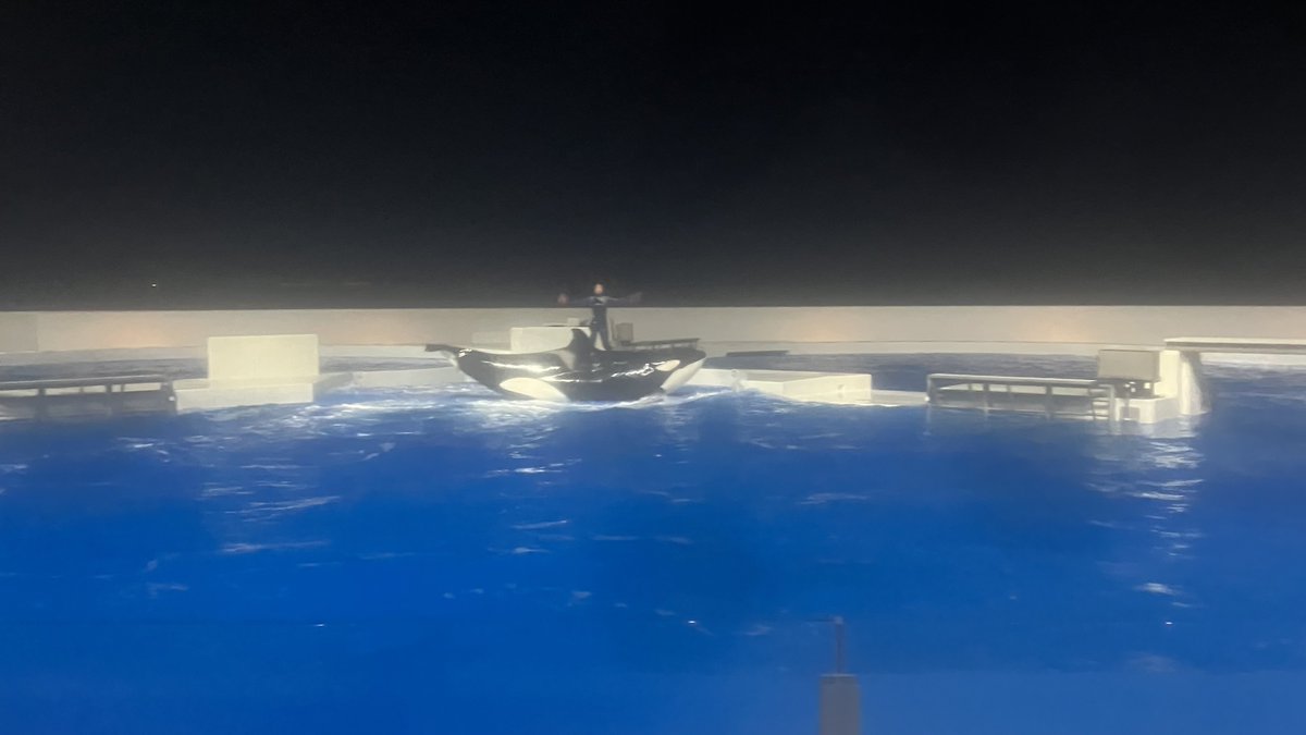 おはようございます！！

ランちゃんの決めポーズからのバイバイがあまりにも可愛過ぎた🫶
2/18 18:30特別回