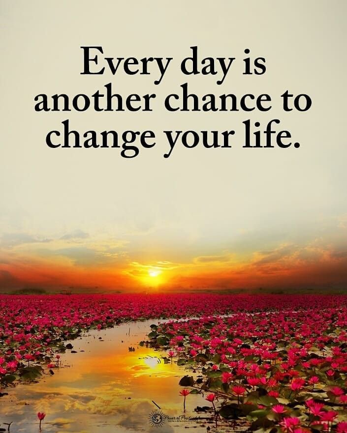 GOOD MORNING HAVE A NICE DAY ✨