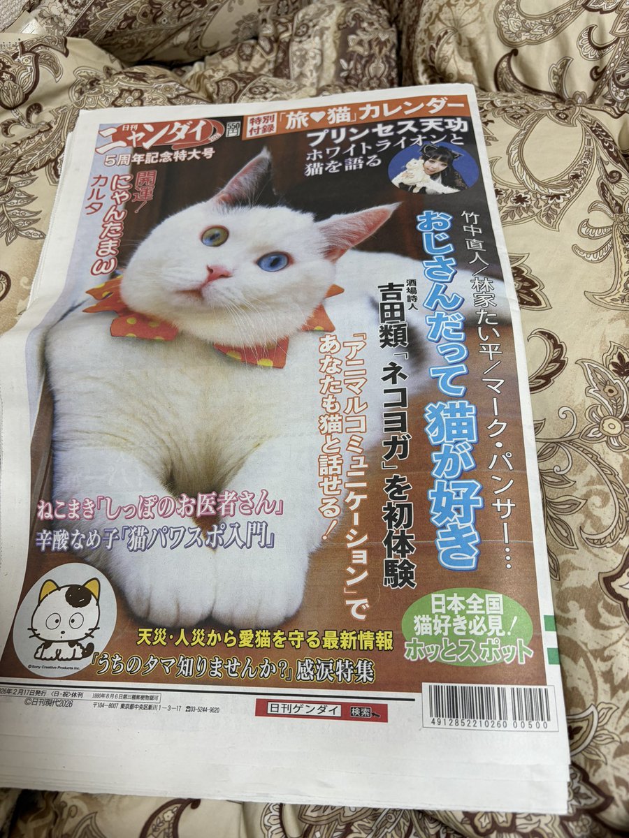 今年もゲットしました🐈🐈‍⬛ #日刊ニャンダイ