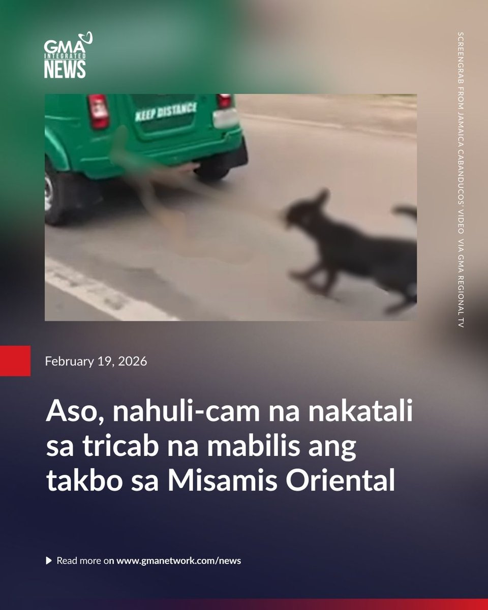 GMA Integrated News tweet media