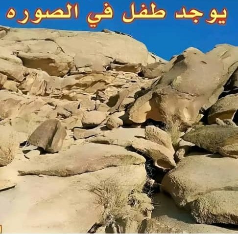 عبدالحفيظ علي محمد عبدالله صالح tweet media