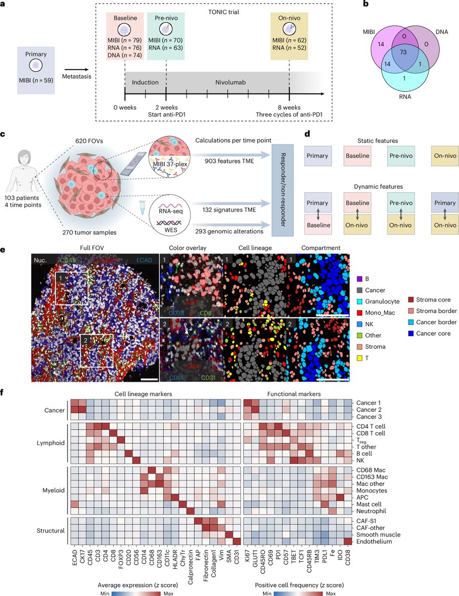 Nature Cancer tweet media