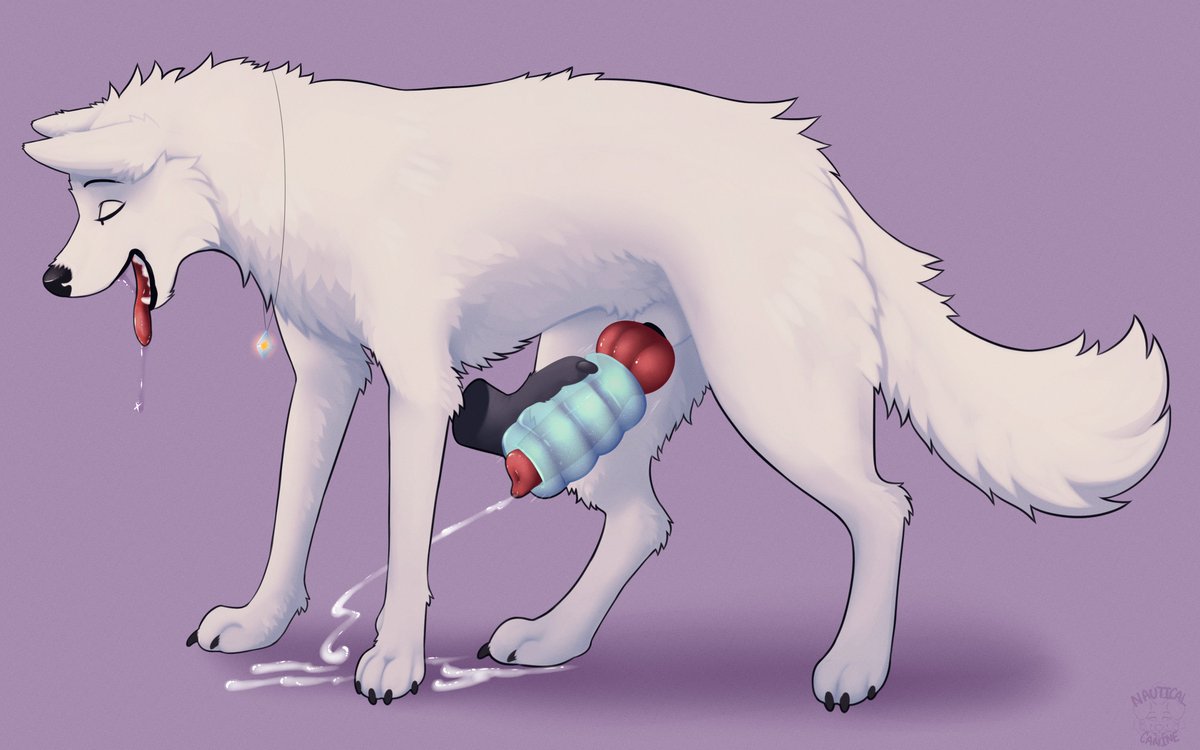 Pax 🔞 tweet media