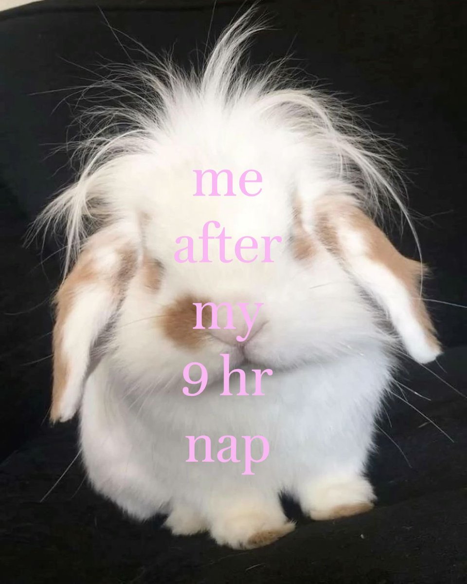 The Notorious J.O.V. tweet media