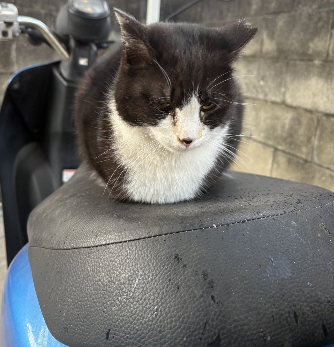 おはようございます☀