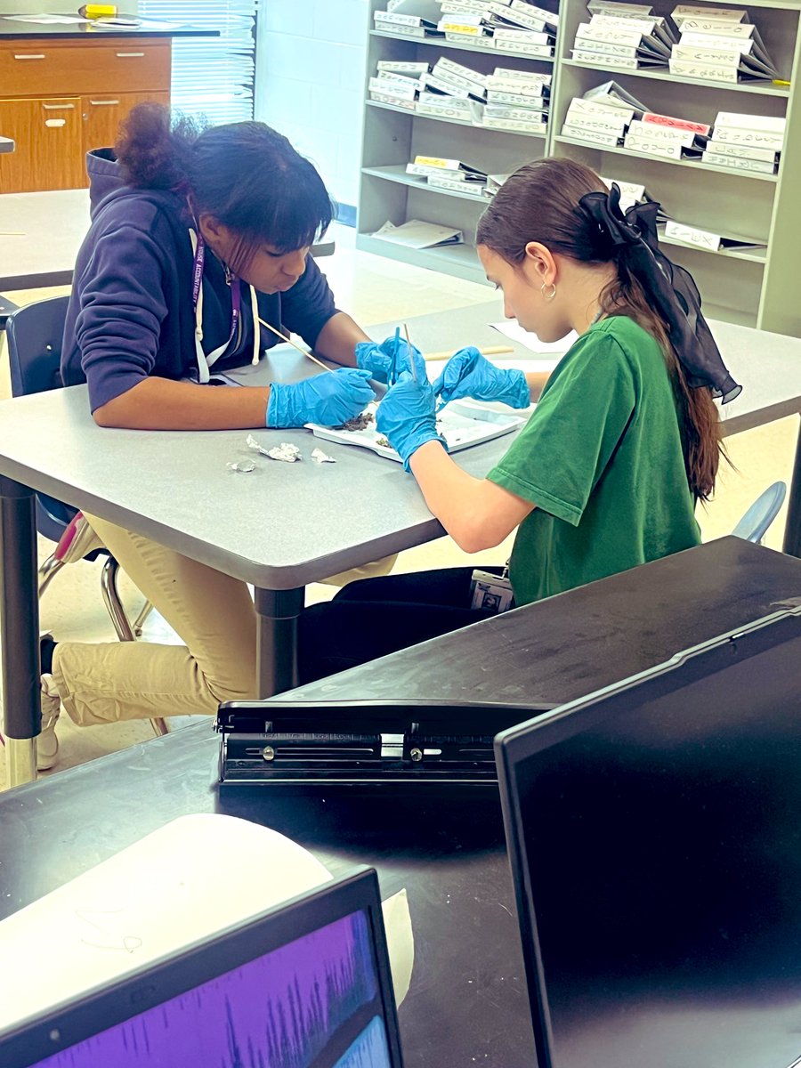 🦉 Today 7th grade Science scholars dissected owl pellets and how it provides real evidence of how energy moves through ecosystems

🥽 The owl represents a higher-level consumer, while the small mammals it eats are primary or secondary consumers that feed on plants (producers)