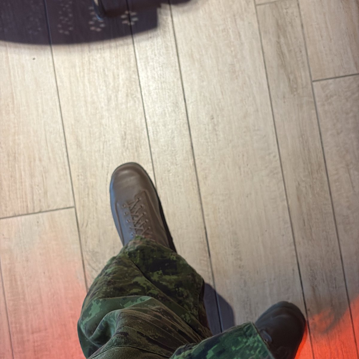 Shinnative PNGtuber tweet media