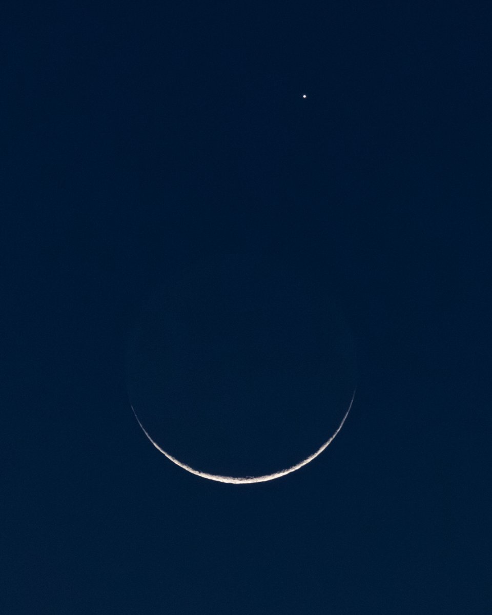 Max Evans tweet media