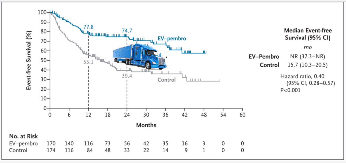 Paolo Tarantino tweet media
