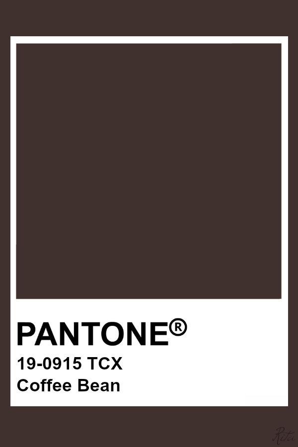 vestbygabs's tweet image. como o pinterest me vê:

fashion
pantone
mood
food