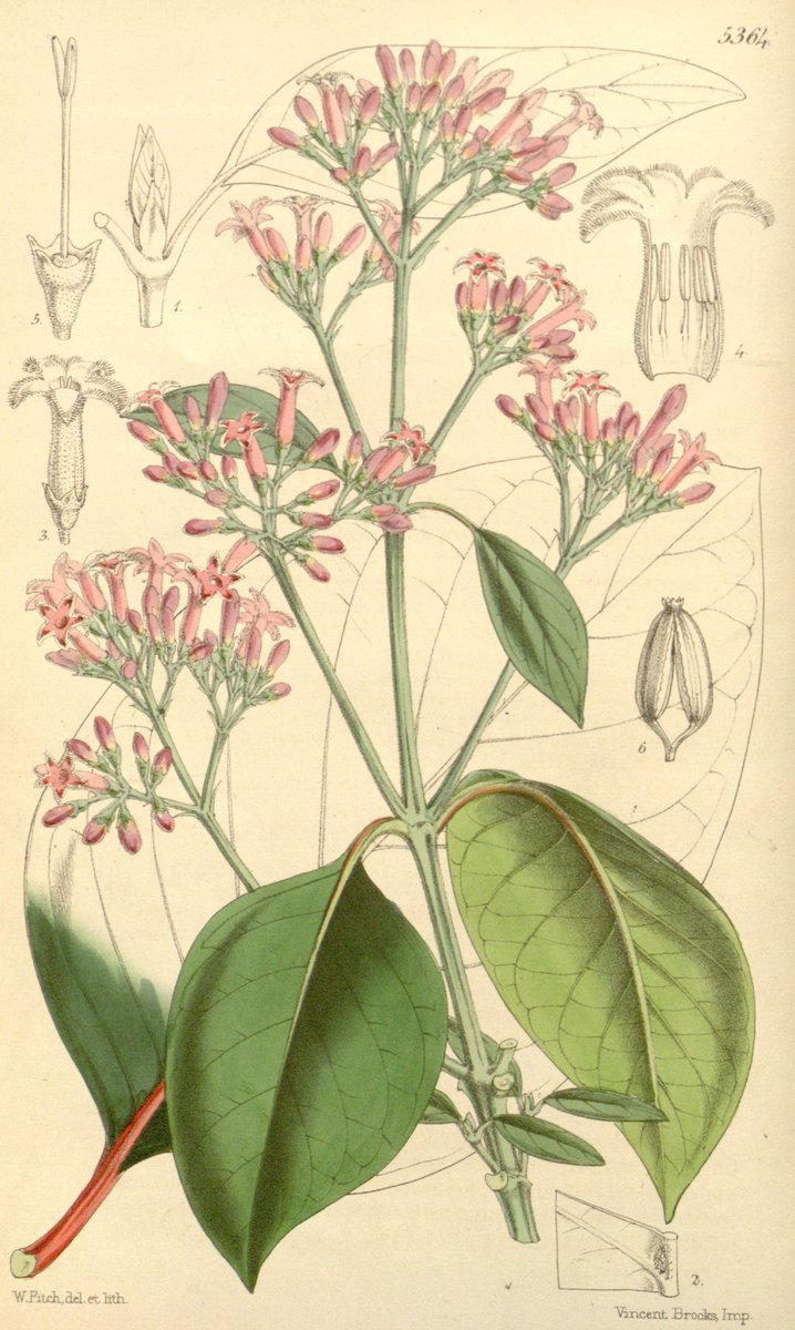 Perú: Ciencia, Tecnologia y Salud tweet media