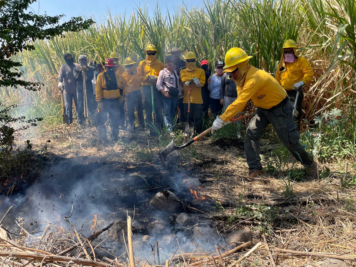🔥🌳 UTIM capacita en prevención y combate de incendios forestales 🚒.
Estudiantes y personal se preparan para actuar con responsabilidad y liderazgo.
#PorAmorALaUTIM #PensarEnGrande