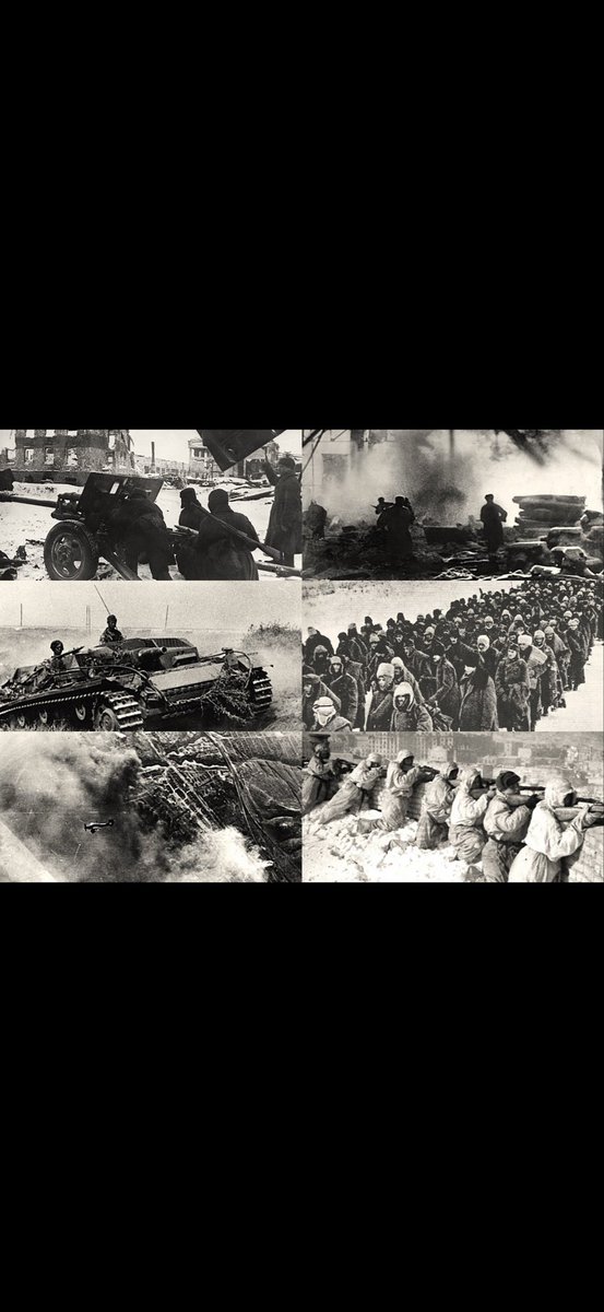 ابو حمد tweet media