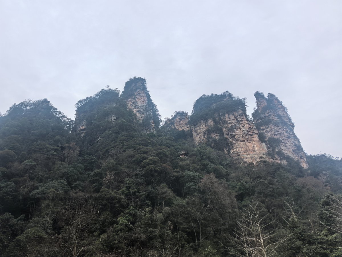 hongceng10's tweet photo. "Nature's masterpiece at Zhangjiajie! ☁️ These peaks seem to touch the sky—every view feels like stepping into a painting. #Zhangjiajie #ChinaTravel #Mountains" https://t.co/h1dEEQIokv