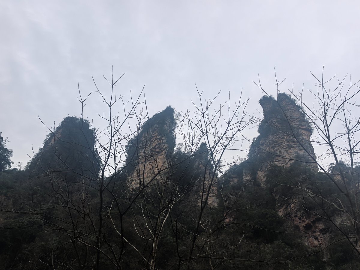 hongceng10's tweet photo. "Nature's masterpiece at Zhangjiajie! ☁️ These peaks seem to touch the sky—every view feels like stepping into a painting. #Zhangjiajie #ChinaTravel #Mountains" https://t.co/h1dEEQIokv