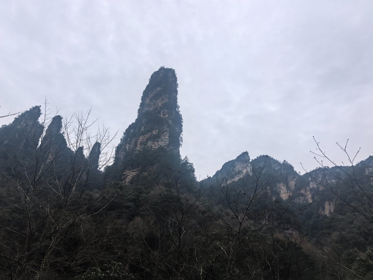 hongceng10's tweet photo. "Nature's masterpiece at Zhangjiajie! ☁️ These peaks seem to touch the sky—every view feels like stepping into a painting. #Zhangjiajie #ChinaTravel #Mountains" https://t.co/h1dEEQIokv