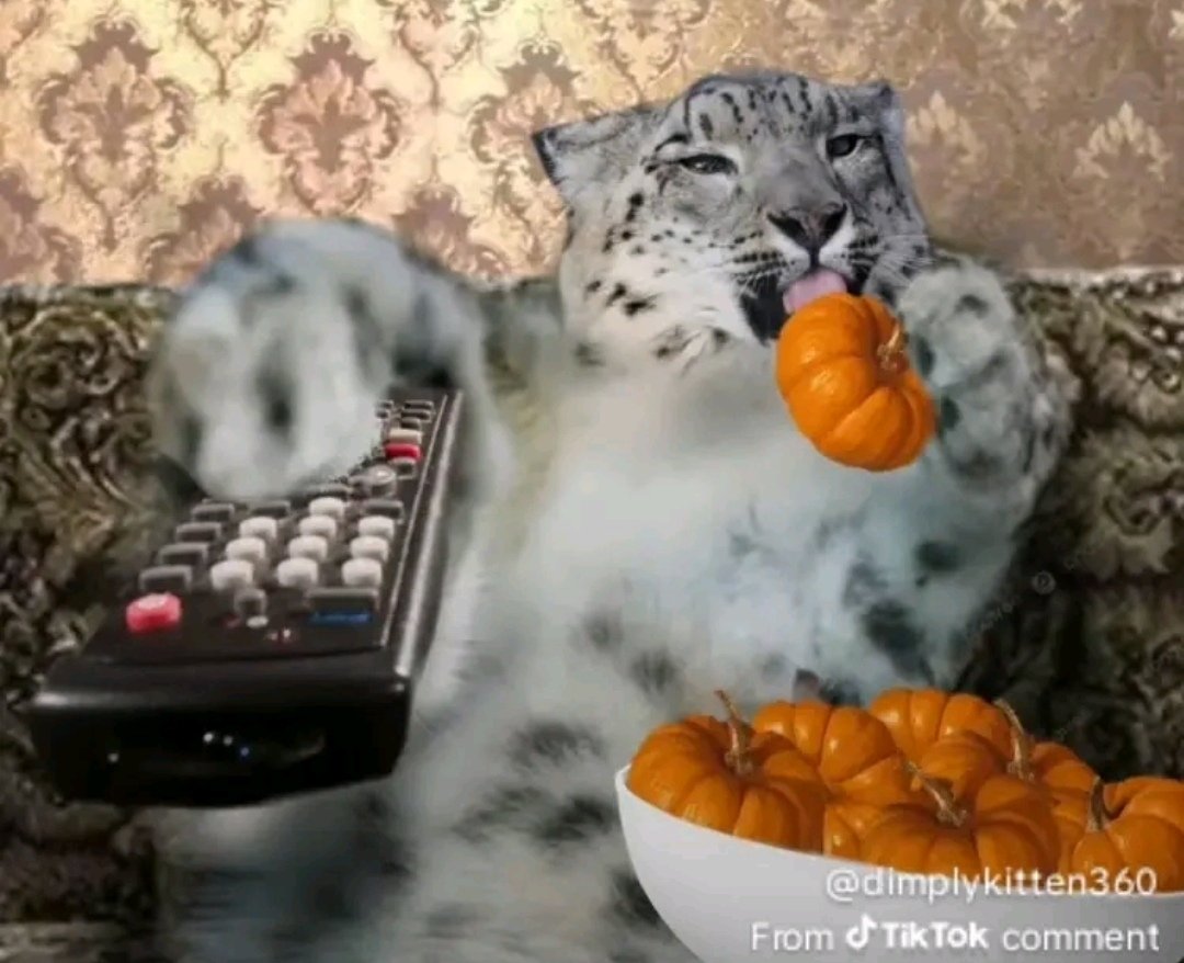 Happi tweet media