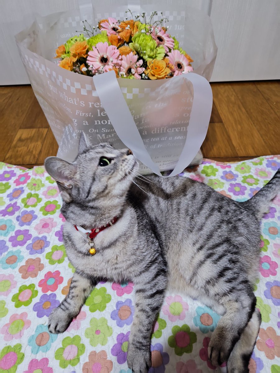 送別会だって…いよいよなんだな～🥲