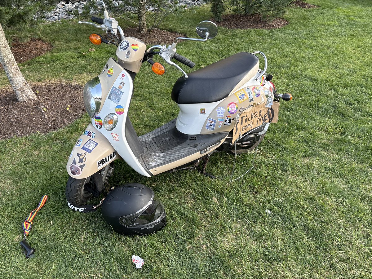 TreeHouseFurry tweet media