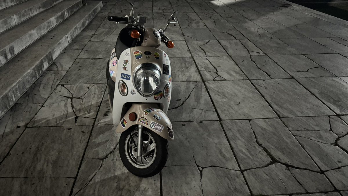 TreeHouseFurry tweet media