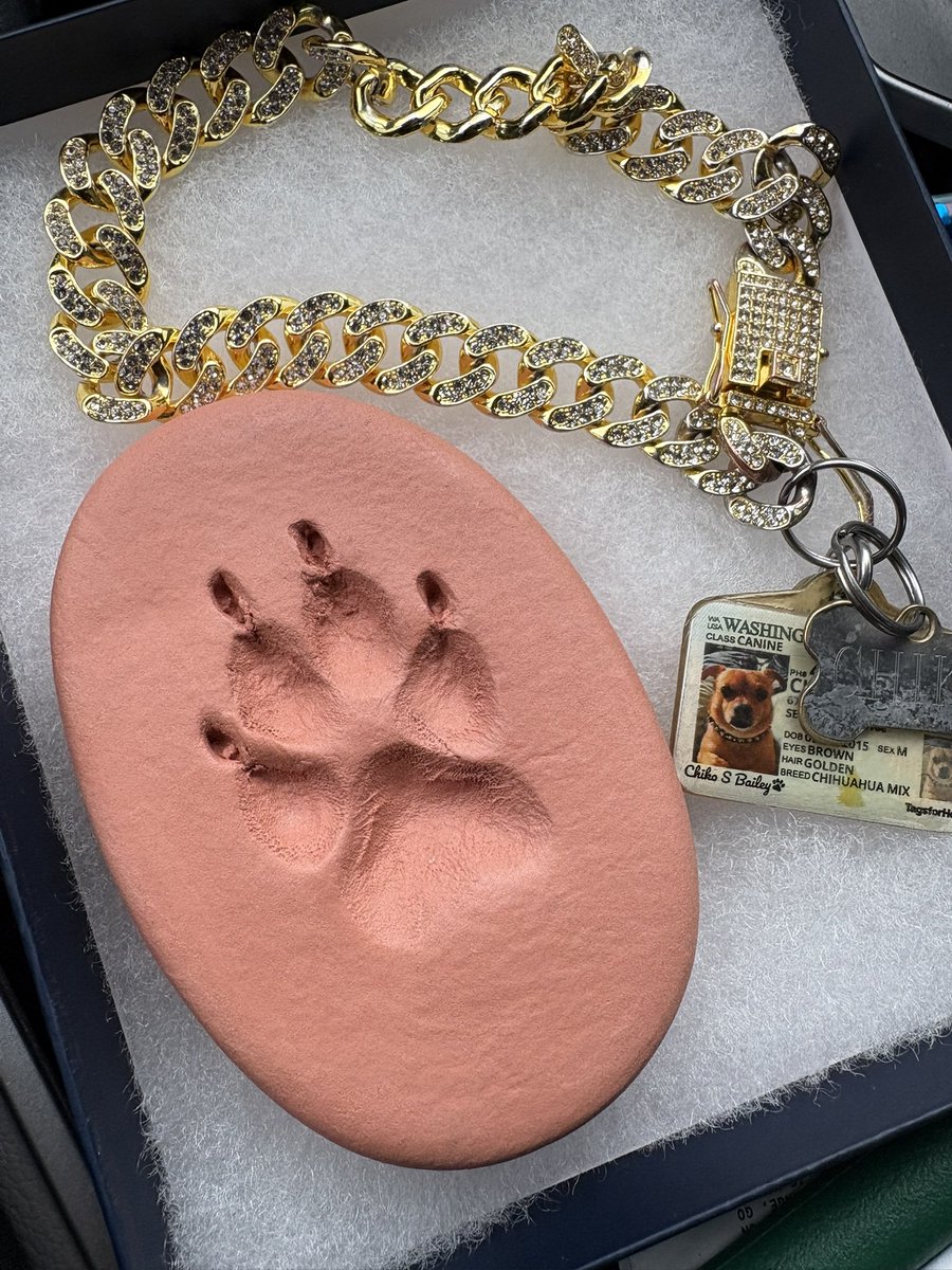 ✨ Sim Guru Q ✨ tweet media