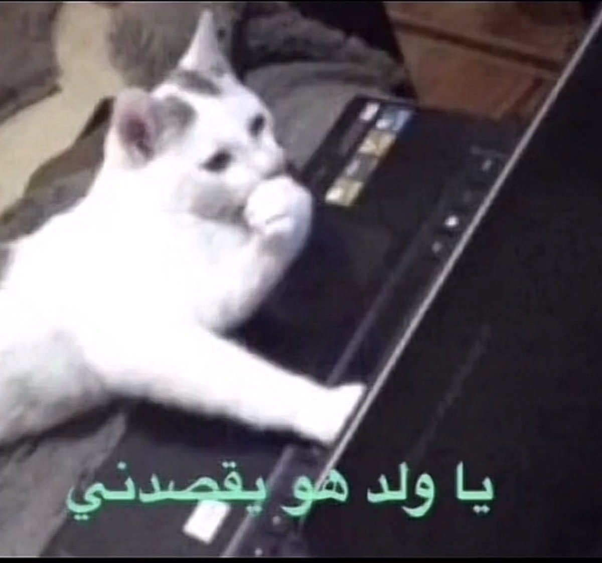 أمل ؛ tweet media