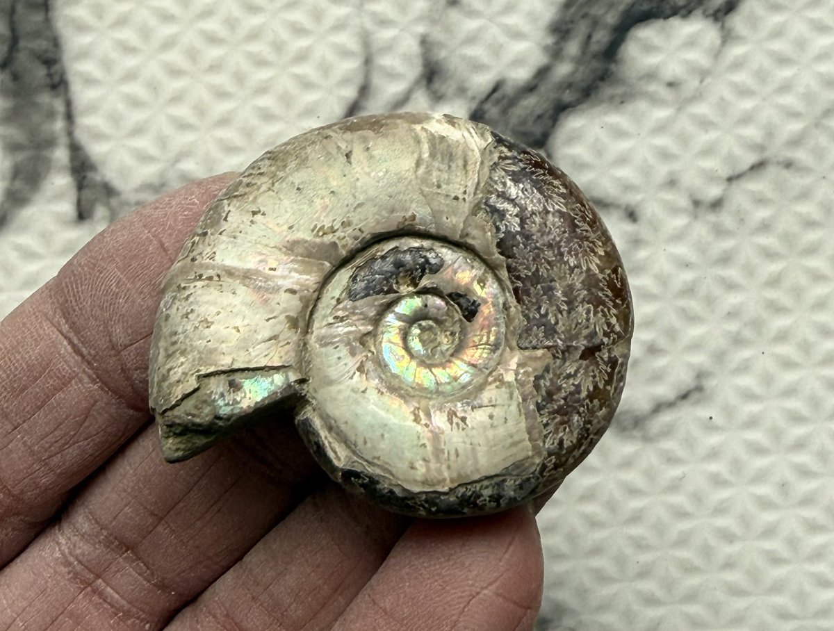 マダマダマダガスカル (@xkpSNxcigsIRTGZ) / Posts / X