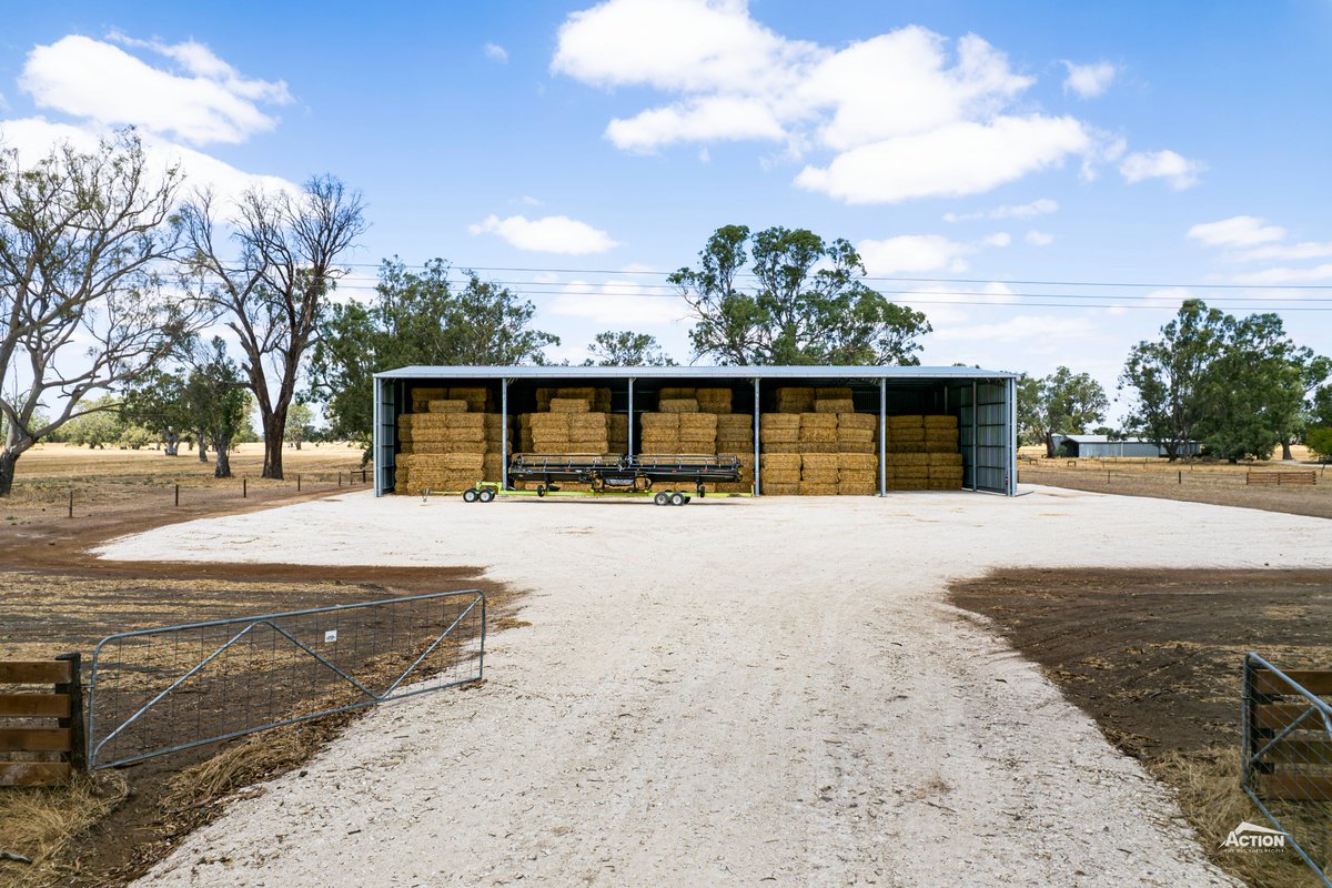 Action Steel tweet media