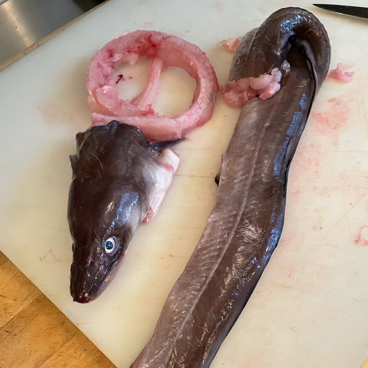 Edward Schneider tweet media