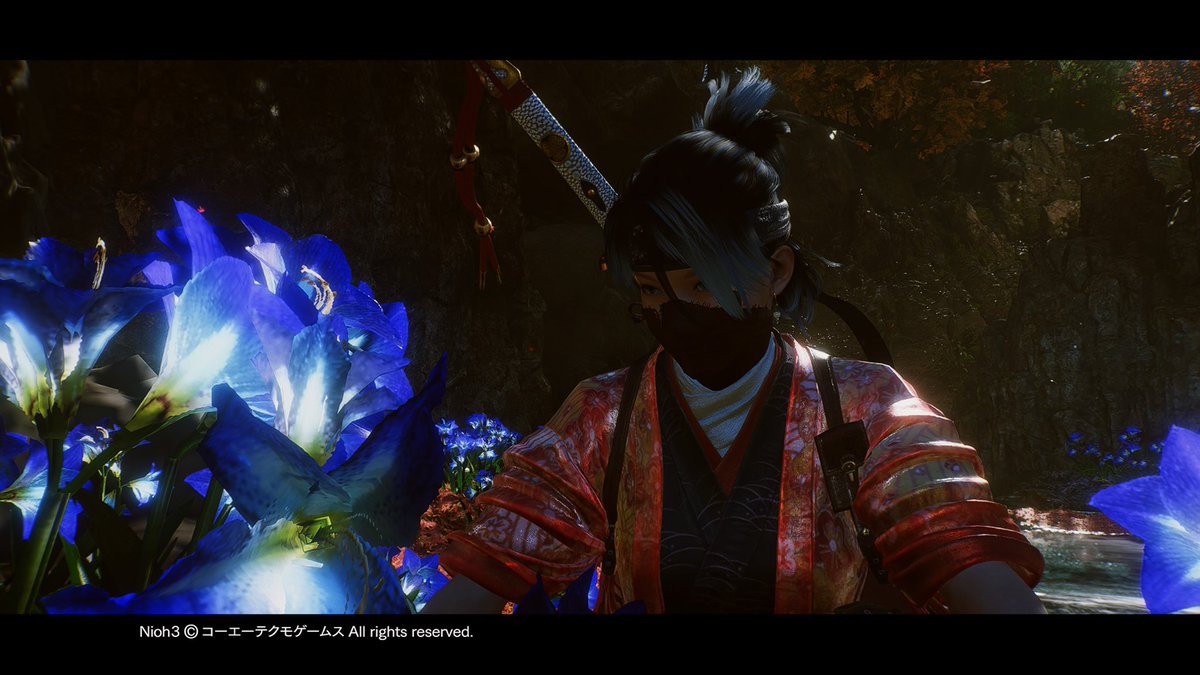 mituba_401's tweet photo. 秘薬を求めて

群青梅花藻 綺麗で好きです
 #仁王3地獄百景 https://t.co/l3iKVL4sva