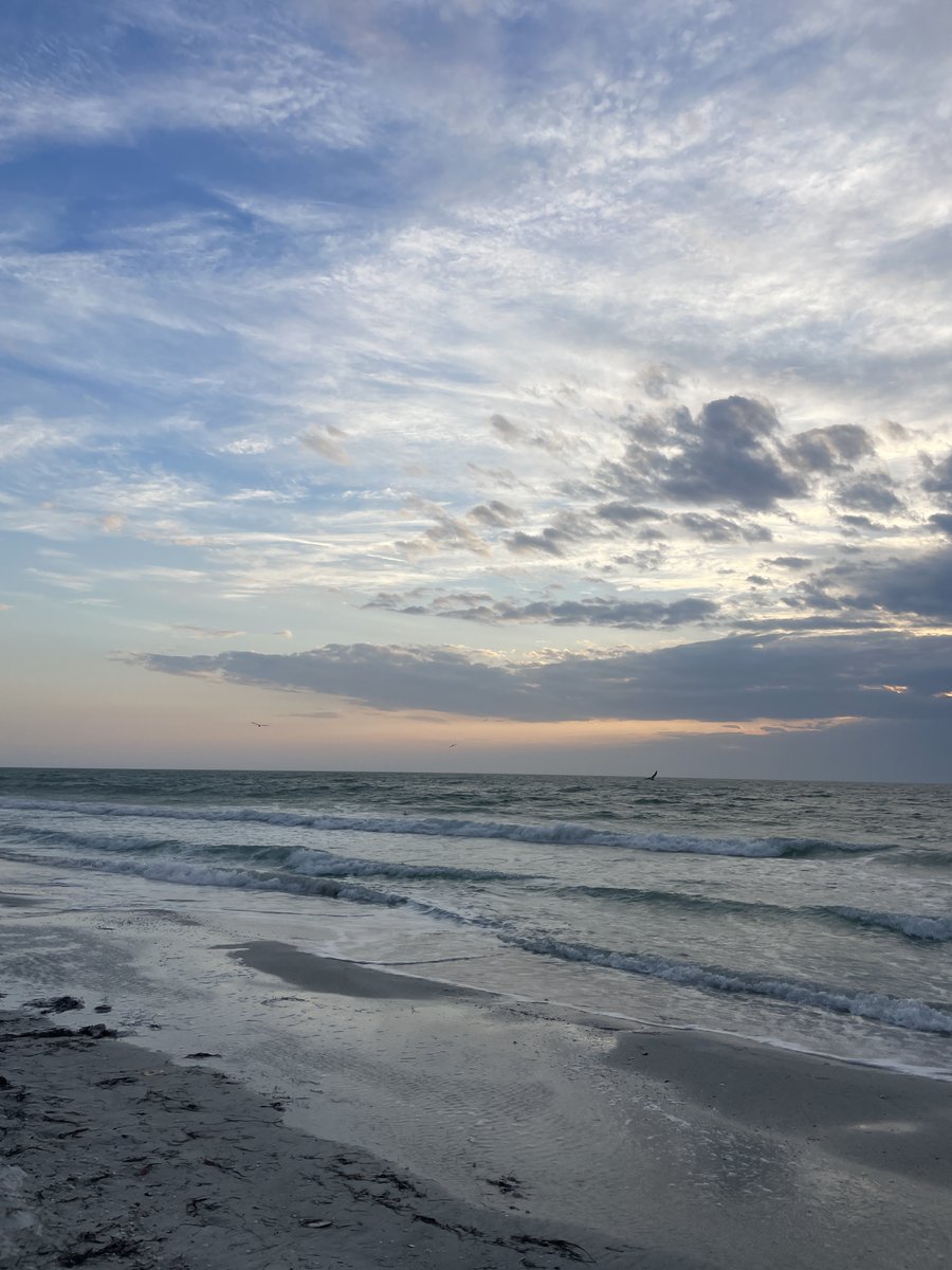 Mackenzie Smith tweet media