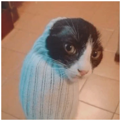 AICANDII 🧪 VchiBan ✨ tweet media