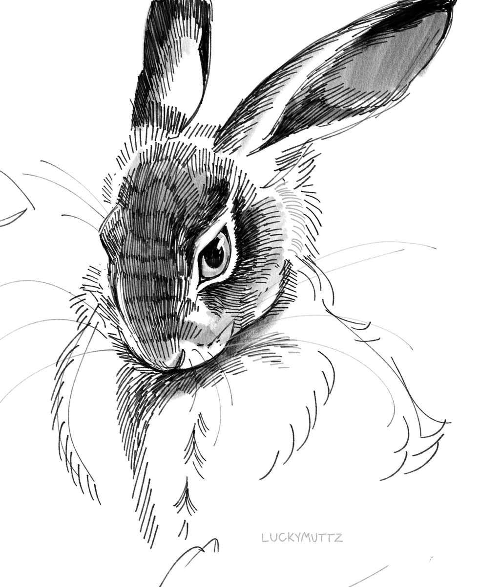 Arlo 🔞 tweet media