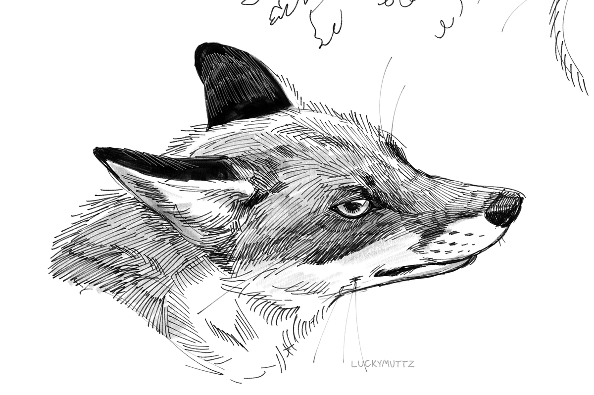 Arlo 🔞 tweet media