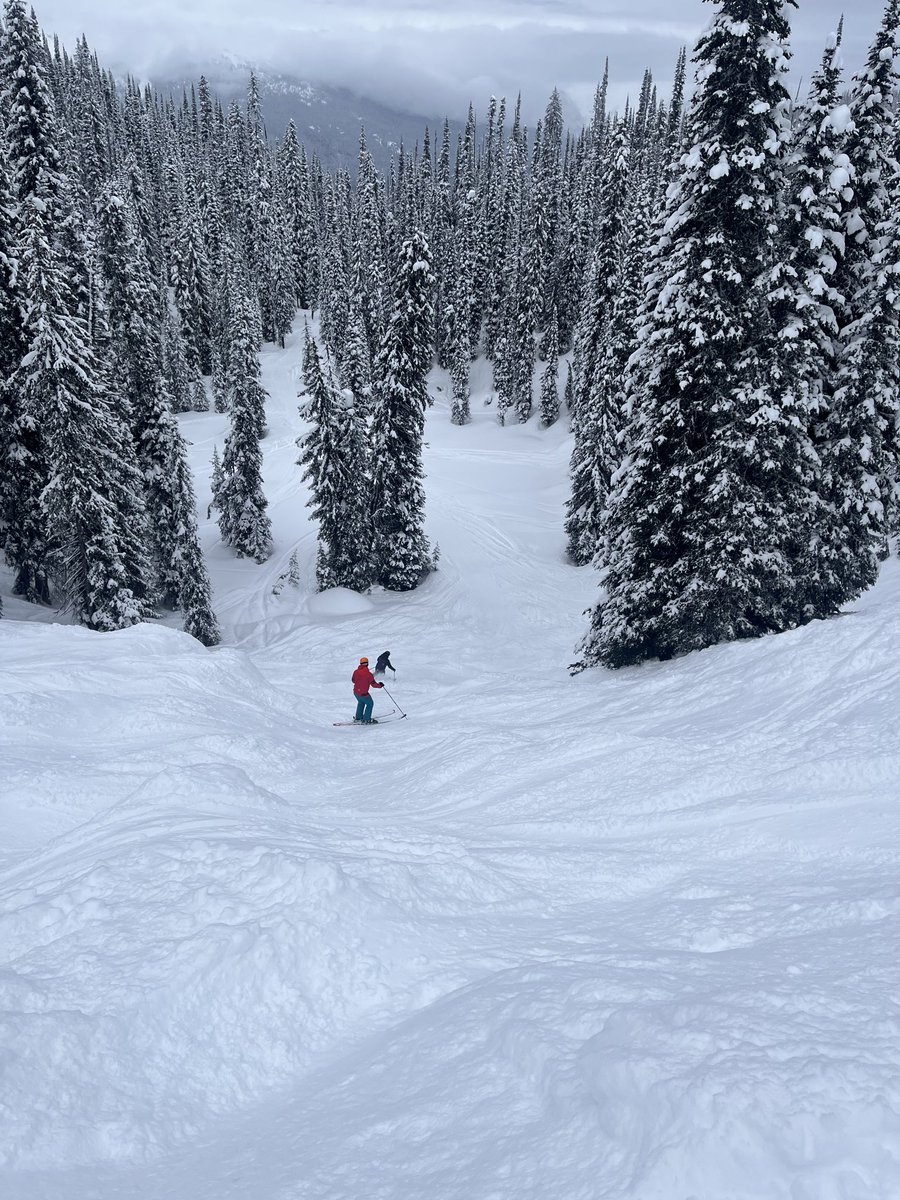 Jim Gillies tweet media