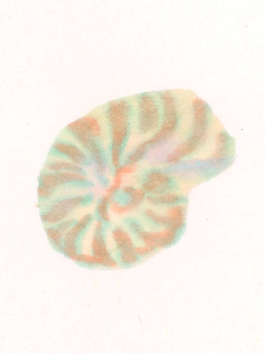 Y o o j i n tweet media