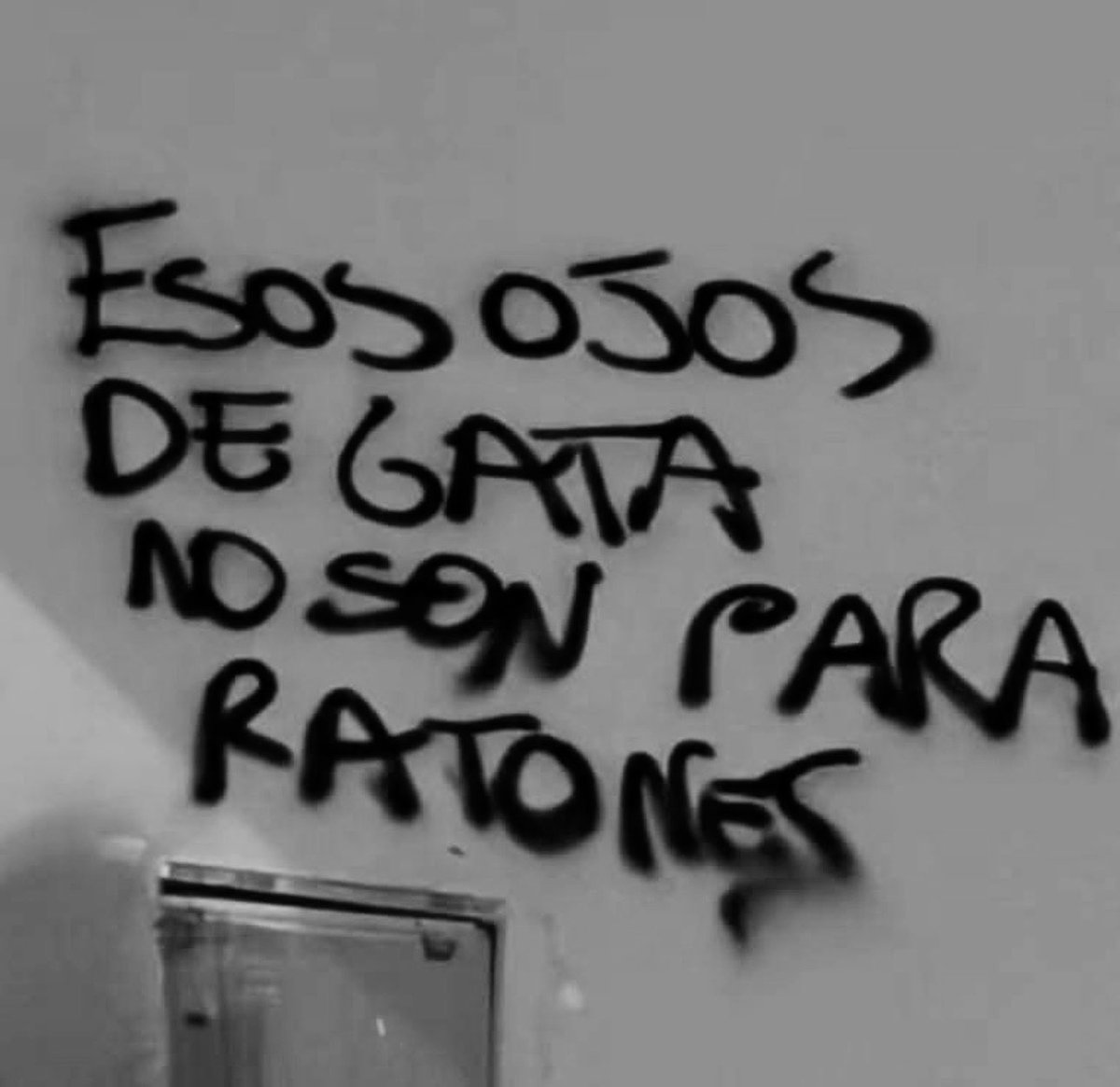 ZarekMills's tweet image. 