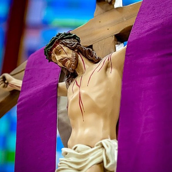 Indie 505 tweet media