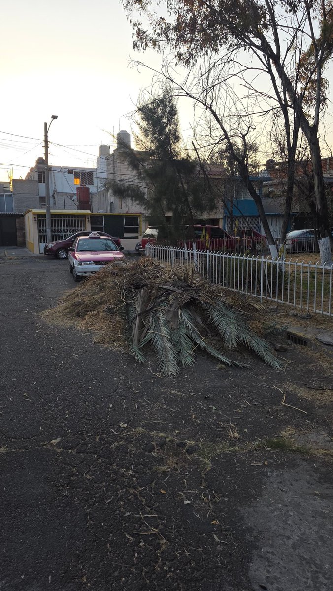 raztech2099's tweet photo. @TuAlcaldiaGAM @SOBSECDMX Buen día les solicito por favor vengan a llevarse lo que el gobierno limpio del parque de la calle, lo dejaron aquí hace casi 2 semanas, nos quita espacio para los autos, en 1ra cerrada avenida 685, CTM Aragón GAM #gam @yancolozano https://t.co/ymX6F5cfN8
