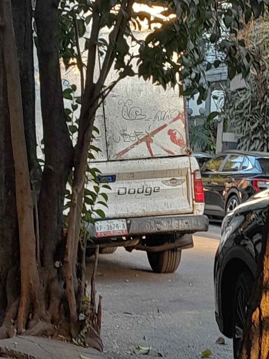 Garros Todo en Gatos tweet media